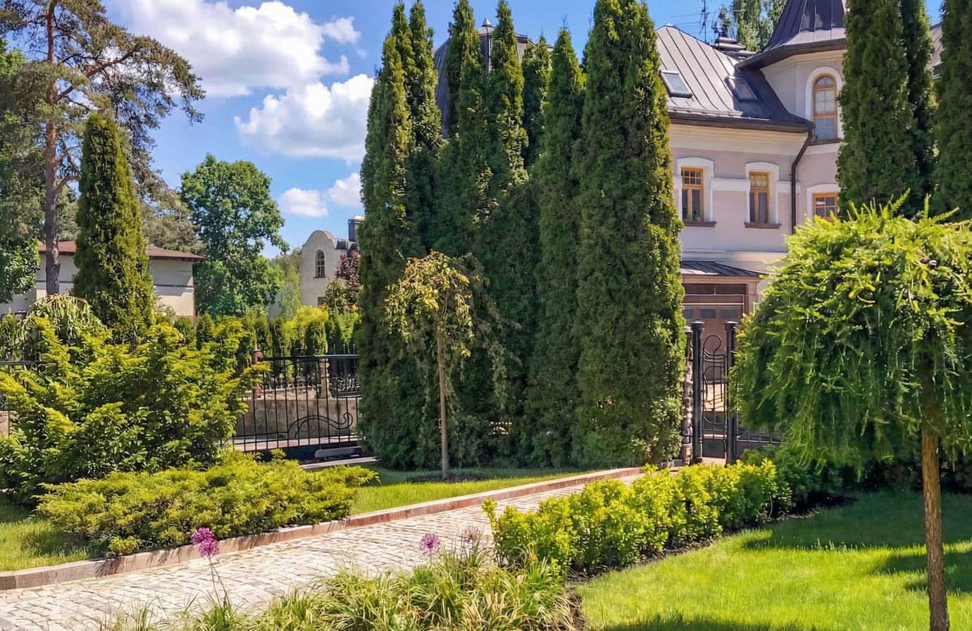 20 лет спустя